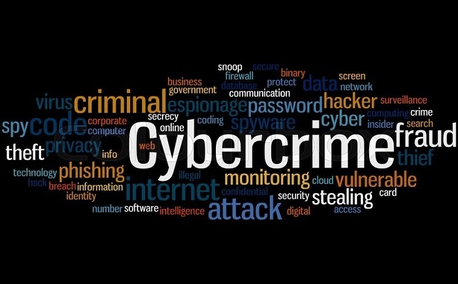 SKNVibes | Online vigilance is best way to prevent cybercrimes, says ...