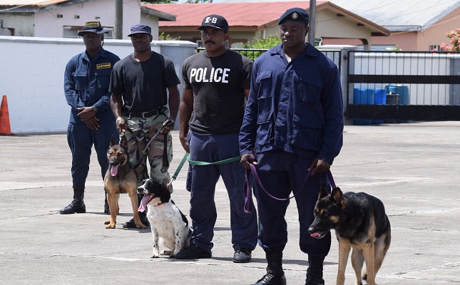 SKNVibes | Police Press Release: K-9 units are key elements in search ...