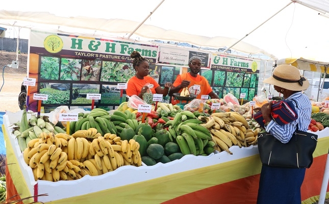 SKNVibes | Nevis Agriculture Dept. promises spectacular Open Day after ...